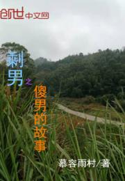 剩男之傻男的故事小说阅读