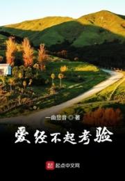 爱经不起考验小说阅读