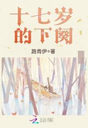 十七岁的下阕小说阅读