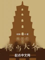 我在红楼当大爷小说阅读