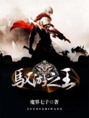 驭游之王小说阅读