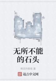 无所不能的石头小说阅读