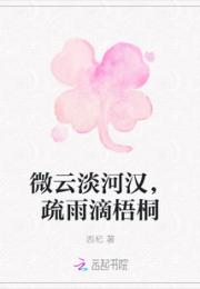 微云淡河汉，疏雨滴梧桐小说阅读