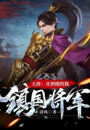 大唐：开酒楼的我，镇国将军小说阅读