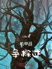 机甲战争概述小说阅读