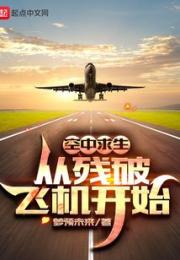 空中求生：从残破飞机开始小说阅读