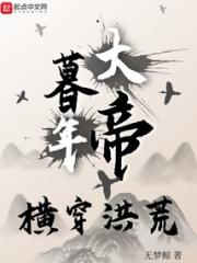 暮年大帝，横穿洪荒小说阅读