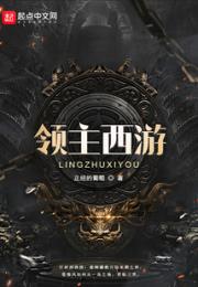 领主西游小说阅读