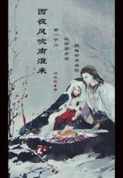 西夜风吹南淮来小说阅读