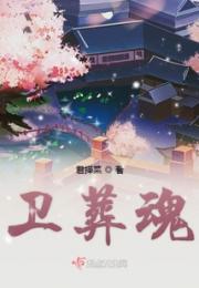 卫葬魂小说阅读