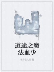 道途之魔法血少小说阅读