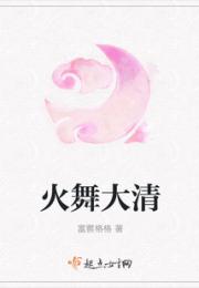 火舞大清小说阅读