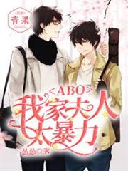 ABO：我家夫人太暴力小说阅读