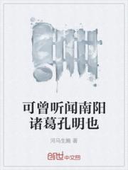 可曾听闻南阳诸葛孔明也小说阅读
