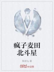 疯子麦田北斗星小说阅读