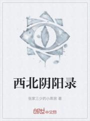 西北阴阳录
