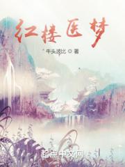 红楼医梦小说阅读