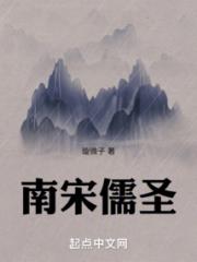 南宋儒圣小说阅读