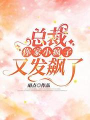 总裁，你家小疯子又发飙了小说阅读