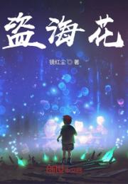 盗海花小说阅读