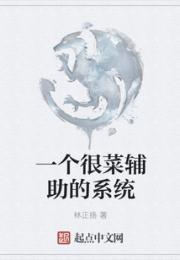 一个很菜辅助的系统小说阅读