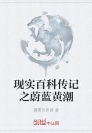 现实百科传记之蔚蓝黄潮小说阅读