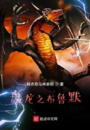盘龙之布鲁默小说阅读