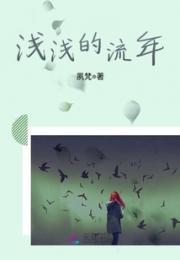 浅浅的流年小说阅读