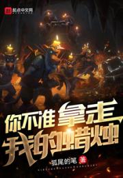 你不准拿走我的蜡烛小说阅读