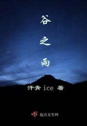 谷之雨小说阅读