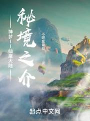 神梦II仙魔大陆秘境之介小说阅读