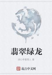 翡翠绿龙小说阅读