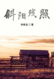 斜阳残照小说阅读