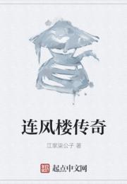 连风楼传奇小说阅读