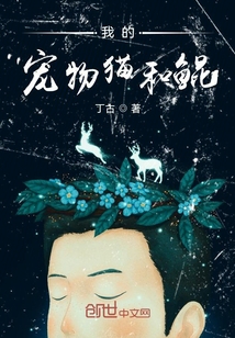 我的宠物猫和鲲小说阅读