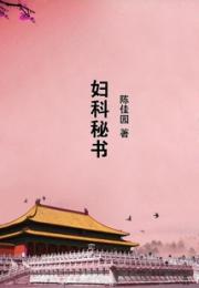 妇科秘书小说阅读