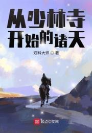 从少林寺开始的诸天小说阅读