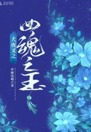 犬夜叉之四魂之玉小说阅读