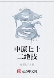 中原七十二绝技小说阅读