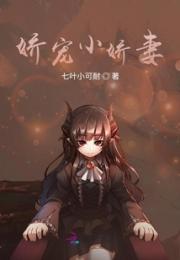 娇宠小娇妻小说阅读
