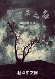 黑曜石之名小说阅读