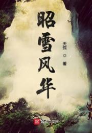 昭雪风华小说阅读