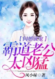 闪婚成宠，霸道老公太凶猛小说阅读