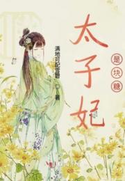 太子妃是块糖小说阅读