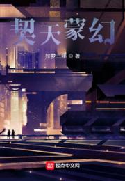 契天环小说阅读