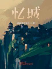 忆城小说阅读
