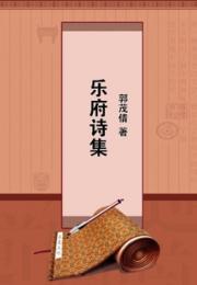 乐府诗集小说阅读