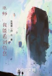 巫师：我能看到信息小说阅读
