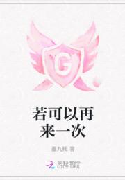 若可以再来一次小说阅读