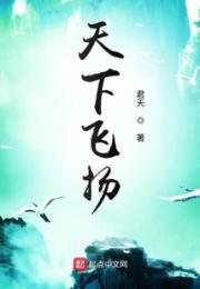 天下飞扬小说阅读